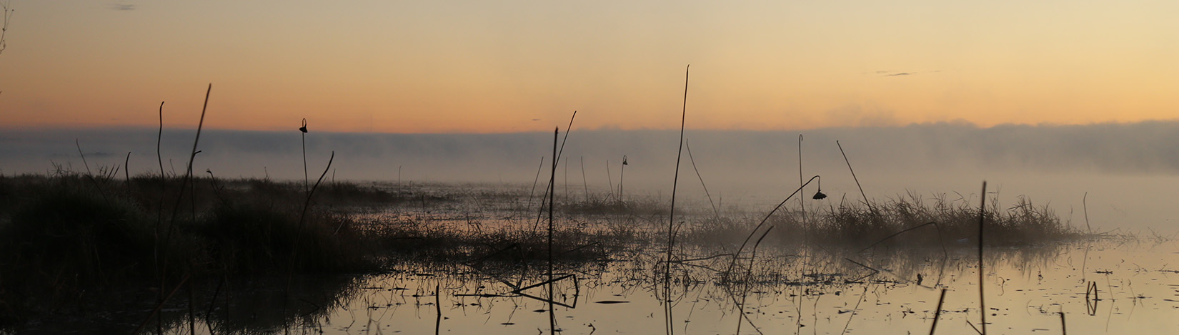 Photo of sunset over a wetland.